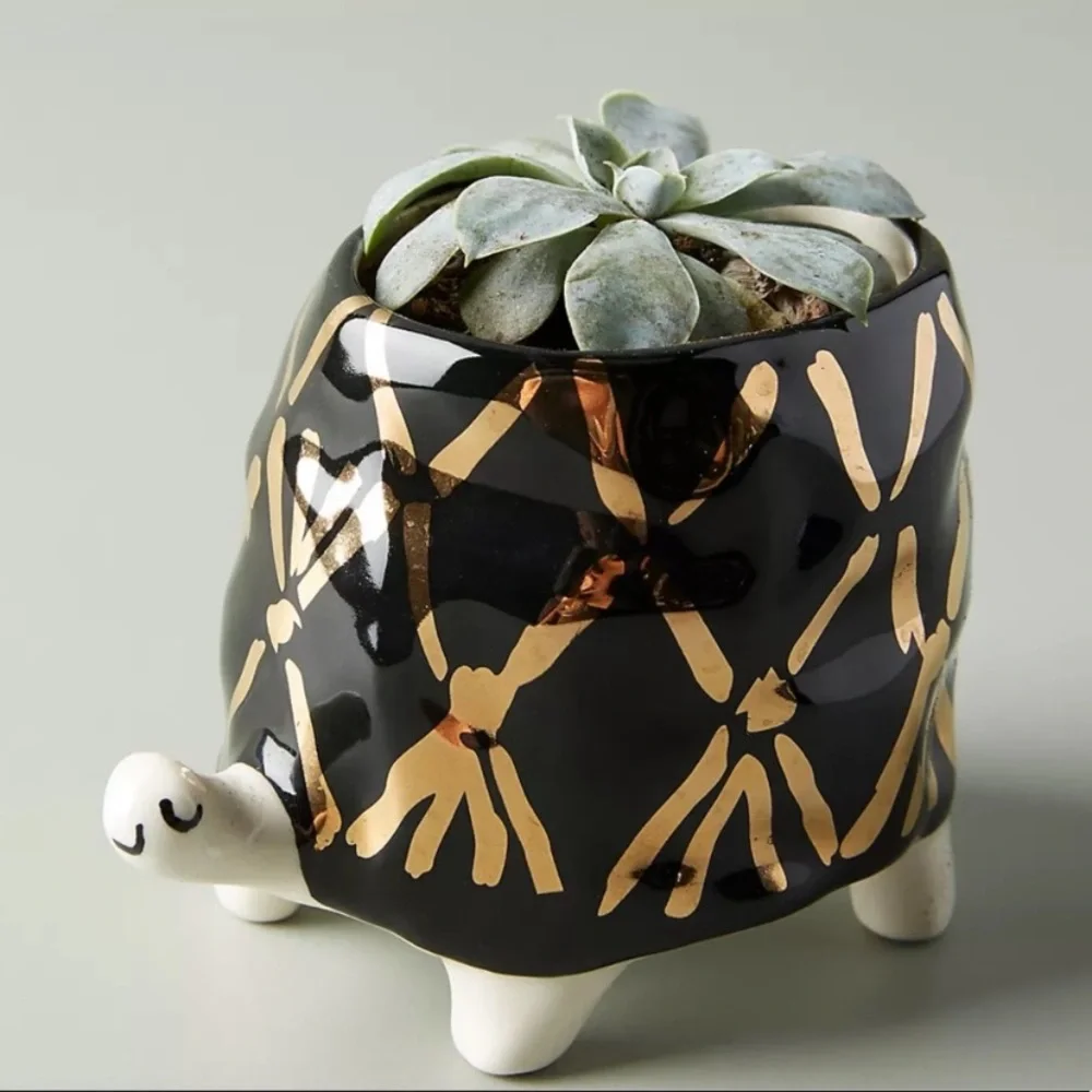 Anthropologie turtle planter unused